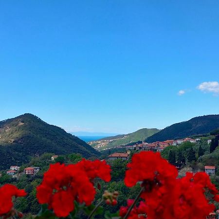 Camera Tra Le Cinque Terre, Camogli E Portofino. Vista Valle E Scorcio Mare All'Orizzonte Castiglione Chiavarese 外观 照片