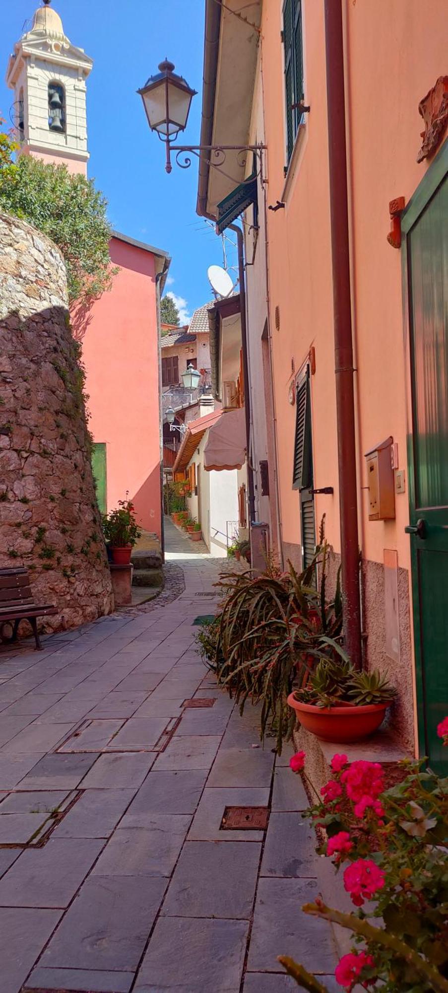 Camera Tra Le Cinque Terre, Camogli E Portofino. Vista Valle E Scorcio Mare All'Orizzonte Castiglione Chiavarese 外观 照片