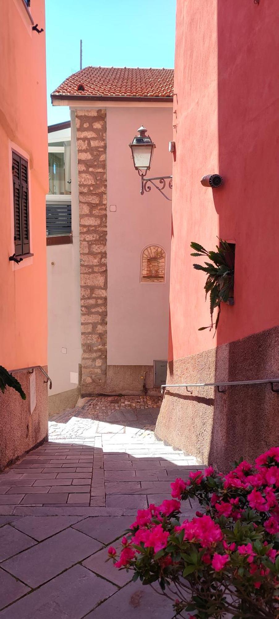 Camera Tra Le Cinque Terre, Camogli E Portofino. Vista Valle E Scorcio Mare All'Orizzonte Castiglione Chiavarese 外观 照片