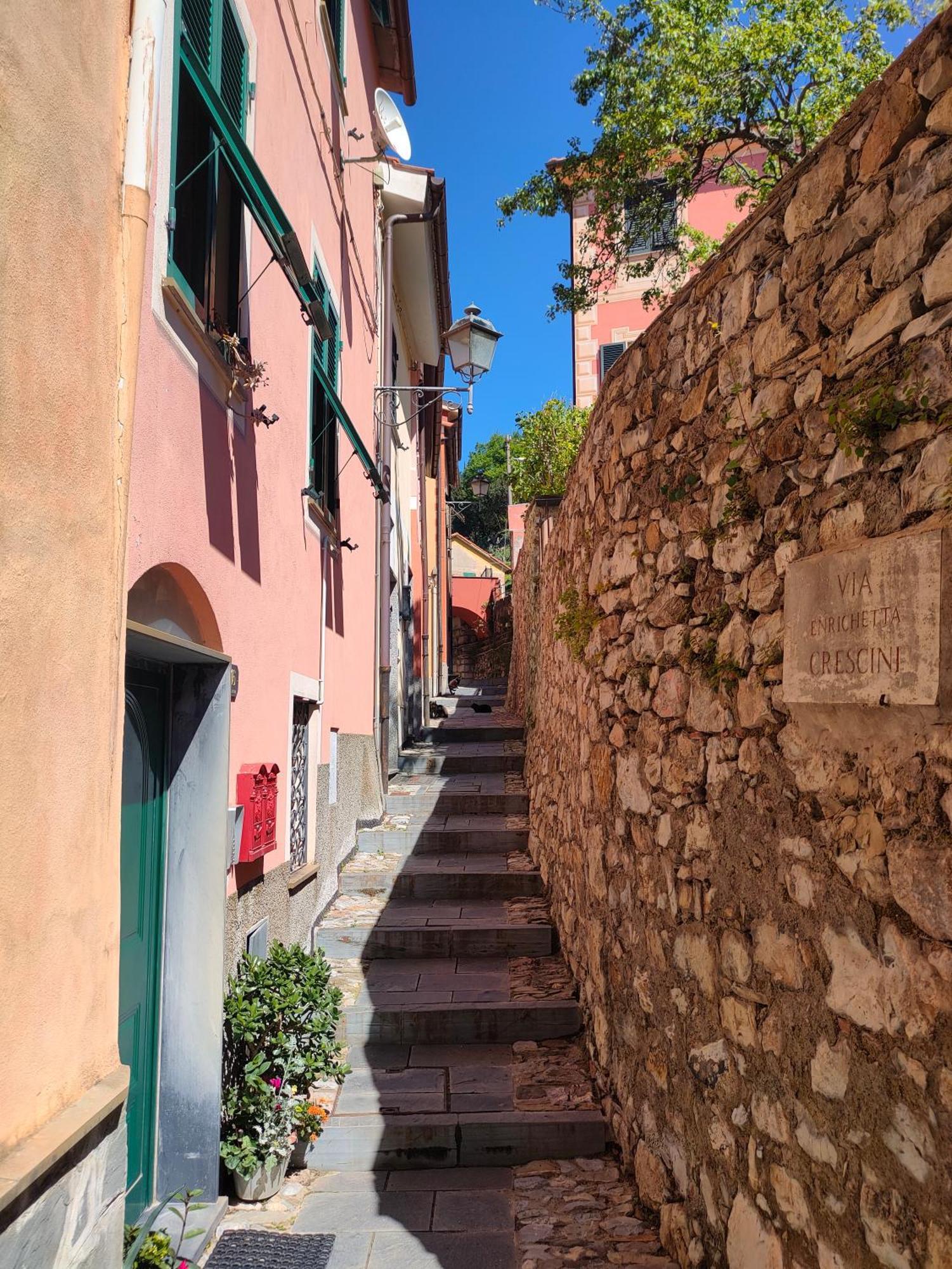 Camera Tra Le Cinque Terre, Camogli E Portofino. Vista Valle E Scorcio Mare All'Orizzonte Castiglione Chiavarese 外观 照片