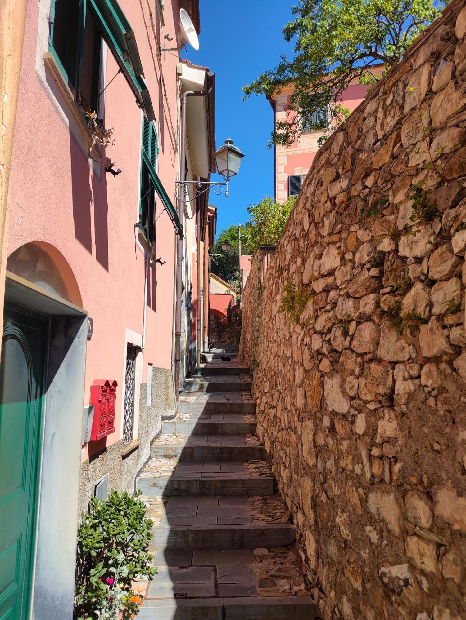 Camera Tra Le Cinque Terre, Camogli E Portofino. Vista Valle E Scorcio Mare All'Orizzonte Castiglione Chiavarese 外观 照片
